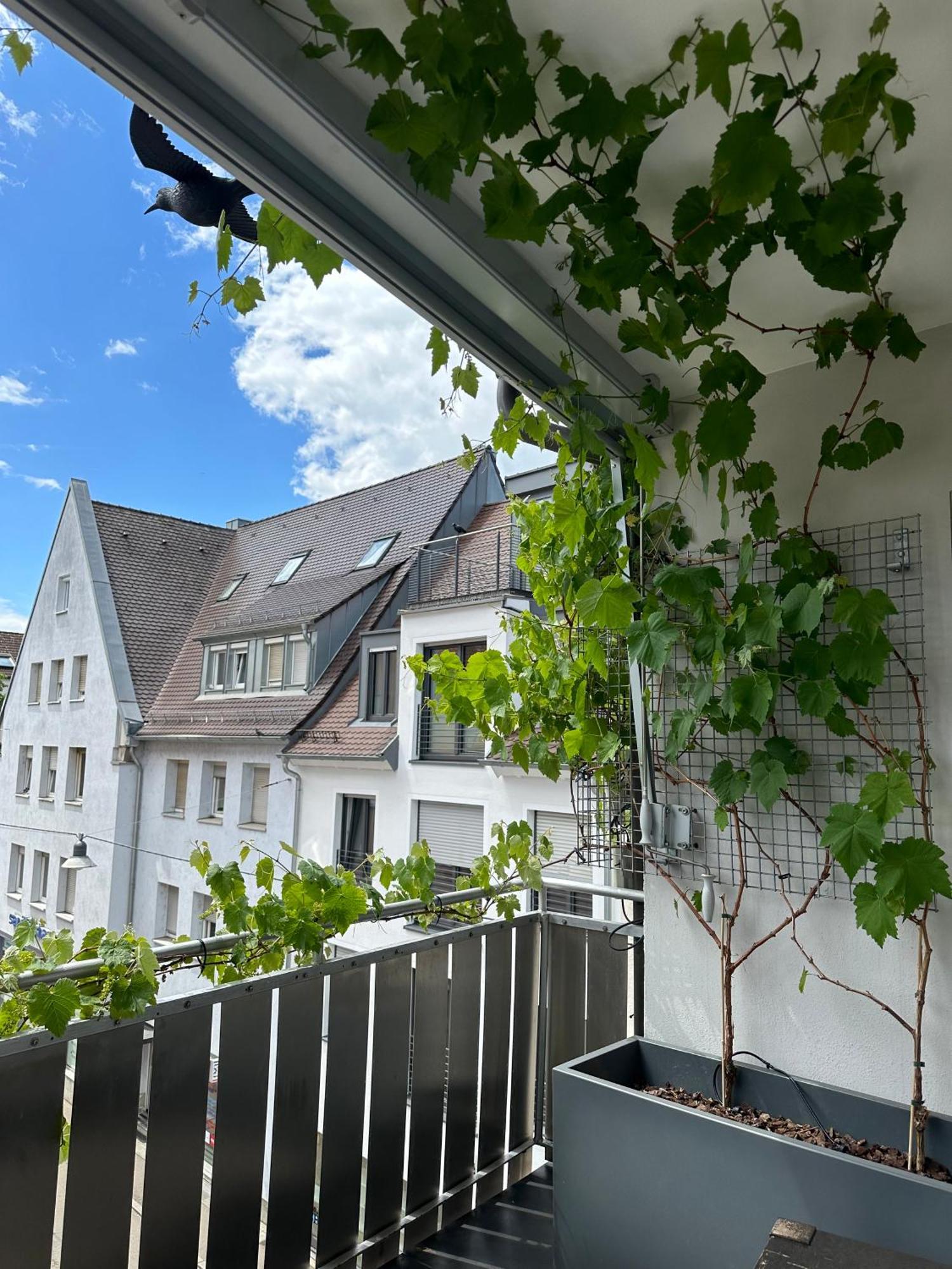 Apartment11 Ulm Eksteriør bilde